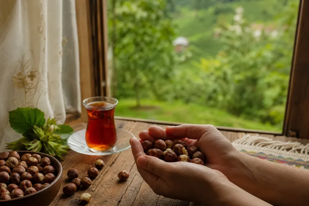 بندق Giresun محمص كامل في راحة اليد بين الوجبات، وبجانبه كوب شاي رفيع الخصر